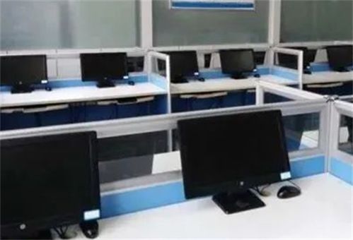 山东工业技师学院计算机网络应用专业 计算机技术开发的实践与未来